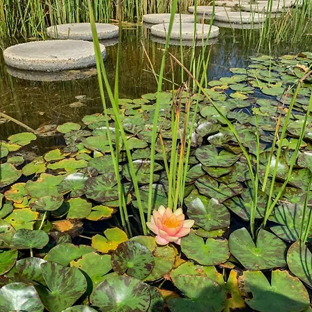 Hunguest Freya Zalakaros